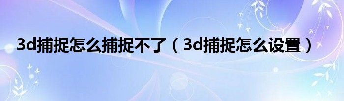 3d捕捉怎么捕捉不了(3d捕捉怎么设置)