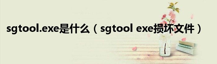 sgtool.exe是什么(sgtool exe损坏文件)