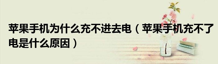 苹果手机为什么充不进去电(苹果手机充不了电是什么原因)