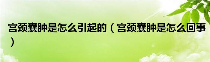 宫颈囊肿是怎么引起的(宫颈囊肿是怎么回事)