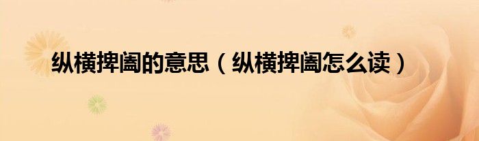 纵横捭阖的意思(纵横捭阖怎么读)