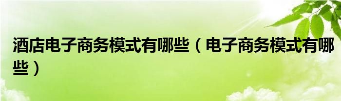 酒店电子商务模式有哪些(电子商务模式有哪些)