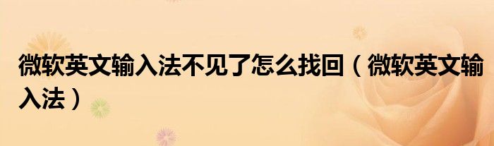 微软英文输入法不见了怎么找回(微软英文输入法)