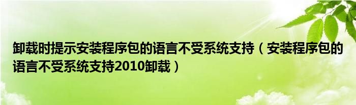 卸载时提示安装程序包的语言不受系统支持（安装程序包的语言不受系统支持2010卸载）