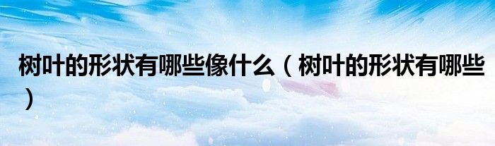 树叶的形状有哪些像什么(树叶的形状有哪些)