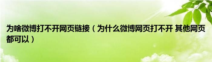 为啥微博打不开网页链接（为什么微博网页打不开 其他网页都可以）