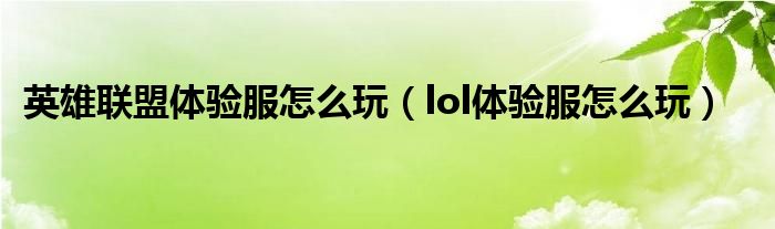 英雄联盟体验服怎么玩(lol体验服怎么玩)