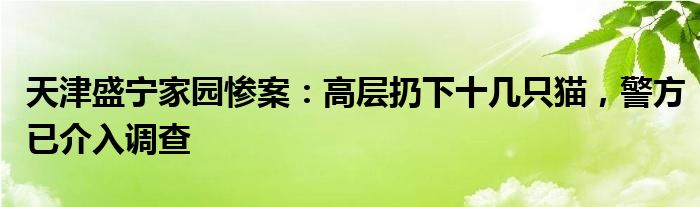 天津盛宁家园惨案:高层扔下十几只猫,警方已介入调查