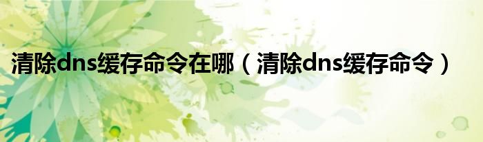 清除dns缓存命令在哪(清除dns缓存命令)