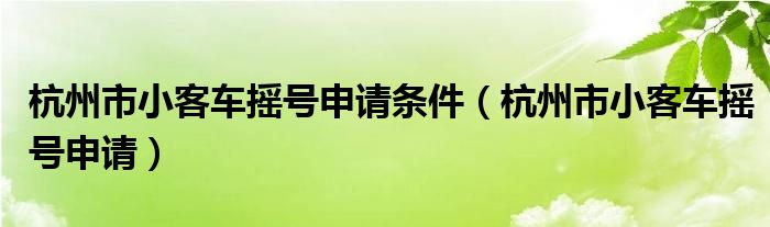 杭州市小客车摇号申请条件（杭州市小客车摇号申请）