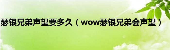 瑟银兄弟声望要多久(wow瑟银兄弟会声望)