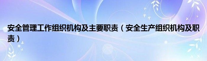 安全管理工作组织机构及主要职责（安全生产组织机构及职责）