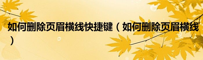 如何删除页眉横线快捷键(如何删除页眉横线)