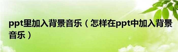 ppt里加入背景音乐(怎样在ppt中加入背景音乐)