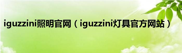 iguzzini照明官网(iguzzini灯具官方网站)