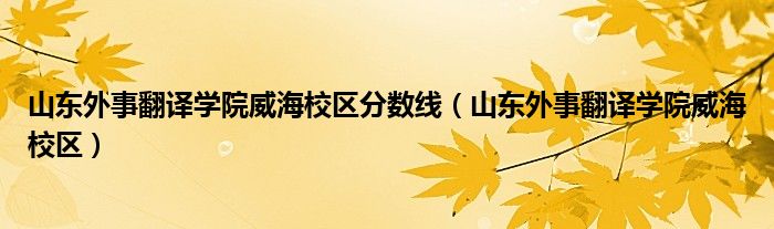 山东外事翻译学院威海校区分数线（山东外事翻译学院威海校区）