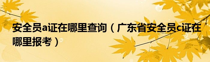 安全员a证在哪里查询（广东省安全员c证在哪里报考）