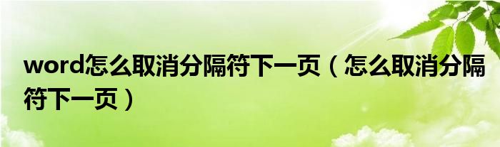 word怎么取消分隔符下一页（怎么取消分隔符下一页）