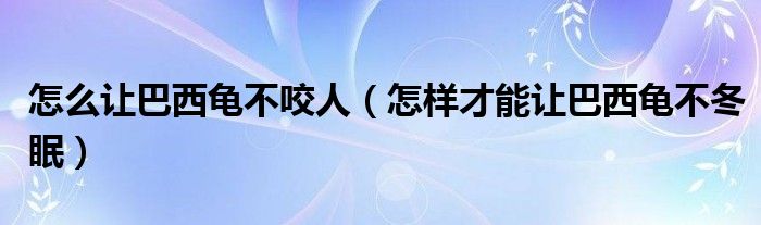 怎么让巴西龟不咬人（怎样才能让巴西龟不冬眠）