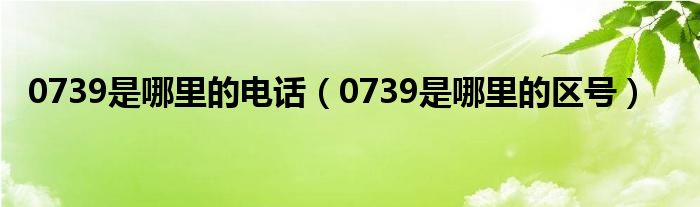 0739是哪里的电话(0739是哪里的区号)