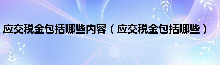 应交税金包括哪些内容(应交税金包括哪些)