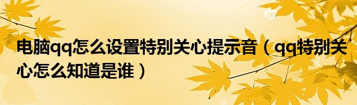 电脑qq怎么设置特别关心提示音(qq特别关心怎么知道是谁)
