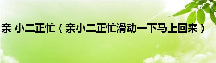 亲 小二正忙(亲小二正忙滑动一下马上回来)