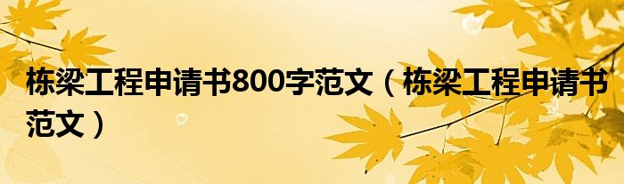 栋梁工程申请书800字范文(栋梁工程申请书范文)