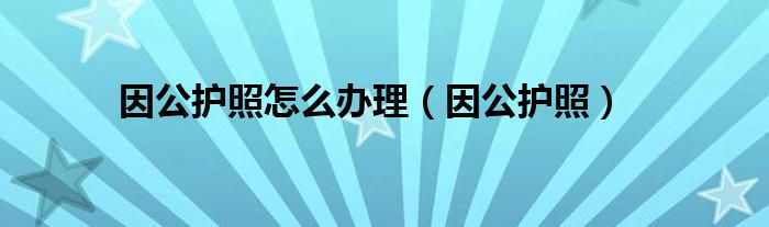 因公护照怎么办理（因公护照）