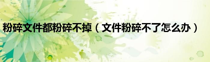 粉碎文件都粉碎不掉(文件粉碎不了怎么办)