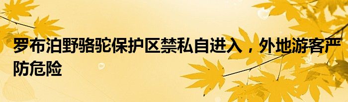 罗布泊野骆驼保护区禁私自进入,外地游客严防危险