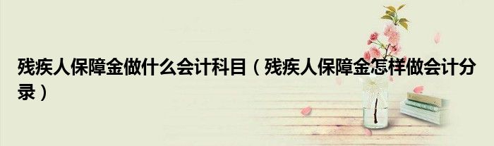 残疾人保障金做什么会计科目(残疾人保障金怎样做会计分录)
