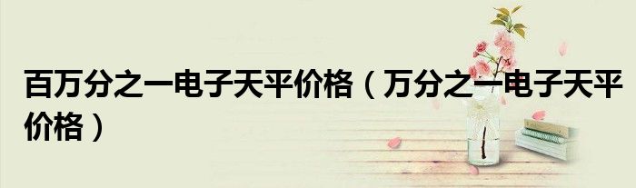 百万分之一电子天平价格(万分之一电子天平价格)