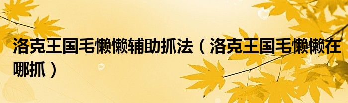 洛克王国毛懒懒辅助抓法(洛克王国毛懒懒在哪抓)