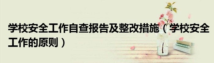 学校安全工作自查报告及整改措施(学校安全工作的原则)