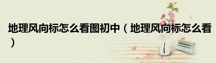 地理风向标怎么看图初中(地理风向标怎么看)