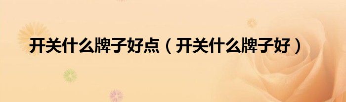 开关什么牌子好点(开关什么牌子好)