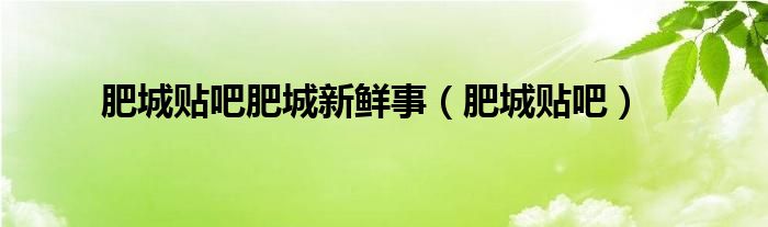 肥城贴吧肥城新鲜事(肥城贴吧)