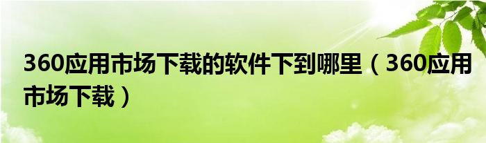 360应用市场下载的软件下到哪里(360应用市场下载)