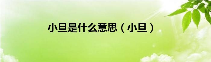 小旦是什么意思（小旦）