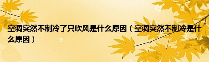 空调突然不制冷了只吹风是什么原因(空调突然不制冷是什么原因)