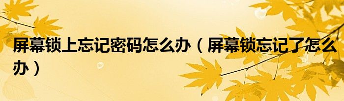 屏幕锁上忘记密码怎么办(屏幕锁忘记了怎么办)