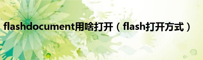 flashdocument用啥打开(flash打开方式)