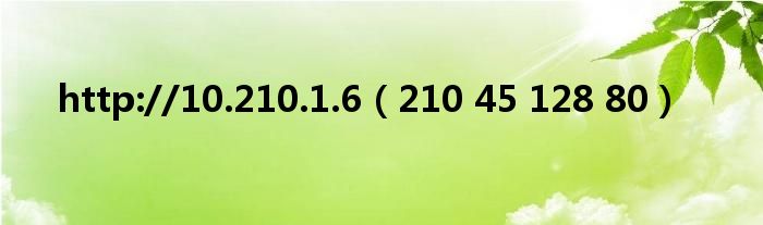 http://10.210.1.6(210 45 128 80)