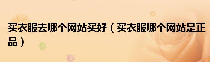 买衣服去哪个网站买好(买衣服哪个网站是正品)
