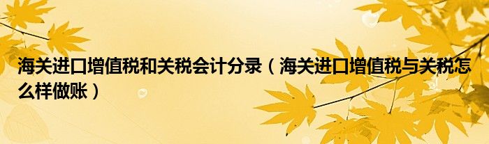 海关进口增值税和关税会计分录(海关进口增值税与关税怎么样做账)