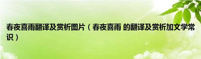 春夜喜雨翻译及赏析图片(春夜喜雨 的翻译及赏析加文学常识)