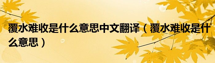 覆水难收是什么意思中文翻译(覆水难收是什么意思)