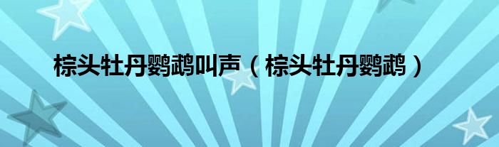 棕头牡丹鹦鹉叫声(棕头牡丹鹦鹉)
