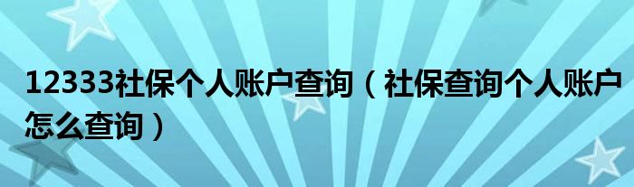 12333社保个人账户查询(社保查询个人账户怎么查询)